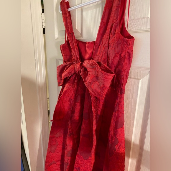 Elegant Red Textured A-Line Evening Dress - Picture 9 of 16